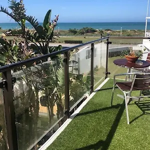 Palm Port Elizabeth